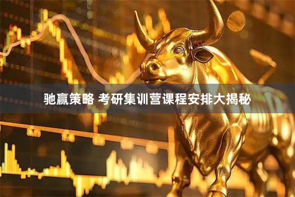 驰赢策略 考研集训营课程安排大揭秘