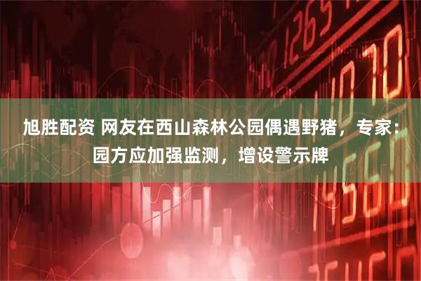 旭胜配资 网友在西山森林公园偶遇野猪，专家：园方应加强监测，增设警示牌