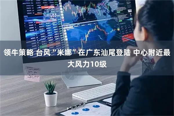 领牛策略 台风“米娜”在广东汕尾登陆 中心附近最大风力10级