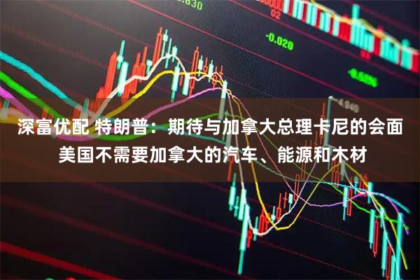 深富优配 特朗普：期待与加拿大总理卡尼的会面 美国不需要加拿大的汽车、能源和木材