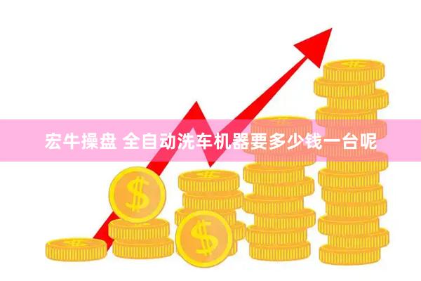 宏牛操盘 全自动洗车机器要多少钱一台呢